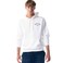 Tex Men Printed Regular Fit Pullover Hoodie,  Off White, Small