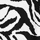 TEX Women Leopard Print T-Shirt, I274587, Off White, S