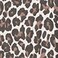 TEX Women Leopard Print T-Shirt, I274587, Beige, S