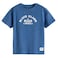 Tex Boys Printed Half T-Shirt, Indigo, 7 to 8 Years, I276723