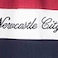 Tex Men Newcastle City Colorblock Long Sleeve Rugby T-Shirt, X14, Navy
