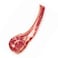 Australian Angus Tomahawk Steak