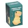 Animal Dinosaur Light