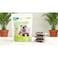 Pet's Kitchen Kidneylicious Treats for Dogs and Cats, 100g