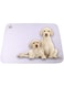 Mumoo Bear Reusable Dog Training Pads, 1 Pack Washable puppy training pads, Super Absorbent Waterproof Dog Mat Pee Pads for Dogs, Fast Drying Training Pads for Home, Car, Travel (100cm*70CM)