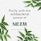 Himalaya Purifying Face Wash, Neem, 150ml