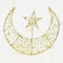 Decorative Flat Crescent Moon with Star Metal Light Accent YH-01