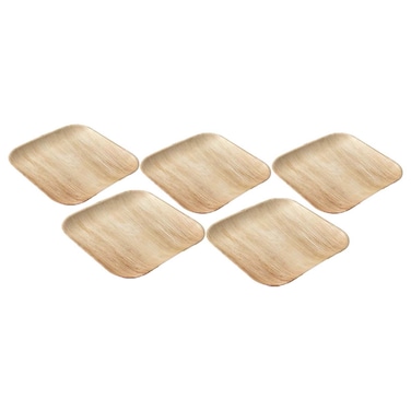 Square Disposable Plates, 25cm, 5 PCS