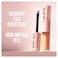 Maybelline Lifter Concealer, Shade 05