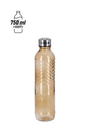 Glass Water Bottle With Painting Brown/Silver