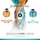 Shark Carpetxpert Deep Clean Pro And Stainstriker Oxy Multiplier Carpet Cleaning Formula