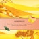 Lipton Peach Mango, 1.7g Pack of 20