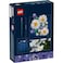 LEGO Botanicals Daisies Flower Decor 11508