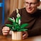 LEGO Botanicals Peace Lily Flower Decor 11504