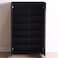 Bill 2 Door Shoe Cabinet 22 pairs-Wenge/Oak