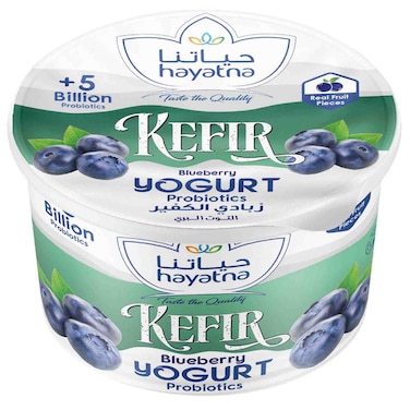 Hayatna Kefir Blueberry Yogurt Probiotics, 150g