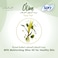 Sofy Olive Moisturizing Large Pantyliners, 76 Liners