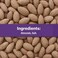 Master Dry Roasted Salted Almonds, 40g