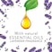 Air Wick Essential Oils Lavender Scented Oil Refill, 19ml