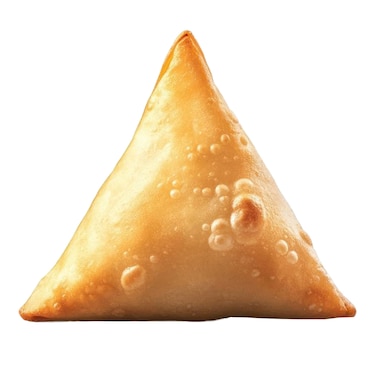 Chicken Samosa