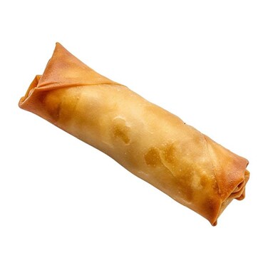 Veg Spring Roll