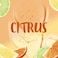 Tahiti Instants Citrus Shower Oil, 250ml