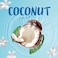 Tahiti Douche 8H Parfum Coconut Shower Gel, 250ml