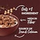Nestle Fitness Granola Crunchy Whole Grain Oats with Chocolate, 350g