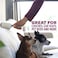 Scotch-Brite Pet Hair Pickup Extra Sticky Lint Roller, 1 PCS