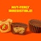 Reese's Miniature Peanut Butter Cups Value Pack, 150g, Pack of 2