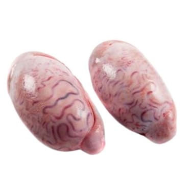 Dutch Veal Testicle
