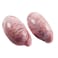 Dutch Veal Testicle