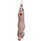 South African Dorper Lamb Carcass Import