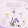 Vatika Naturals Rosemary Hair Strengthening Shampoo with Biotin, 400ml, Pack of 2