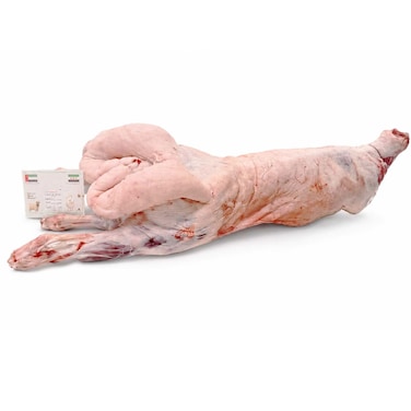 Syrian Awassi Mutton Caracass
