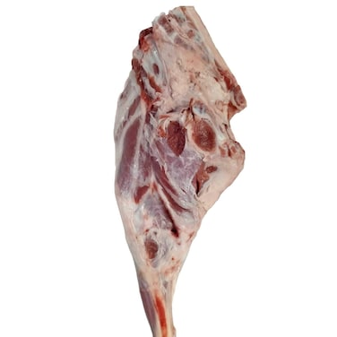 Syrian Awassi Mutton Leg Bone In
