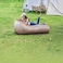 Green Lion Sofa