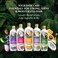 Parachute Advanced Coconut and Honey Damage Repair Shampoo, 340ml, Pack of 2