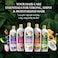 Parachute Advanced Coconut and Rice Water Smooth and Soft Shampoo, 340ml, Pack of 2