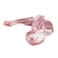 Syrian Awassi Mutton Shoulder Bone In