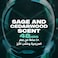 Axe Deodorant Aerosol Apollo 150ml, Pack of 2