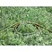 Karcher Performance Plus Garden Hose 1/2 Inch 20m