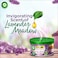 Air Wick Scented Gel Air Freshener Lavender Meadow with Natural Essential Oils, 70g, Pack of 2