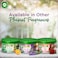 Air Wick Scented Gel Air Freshener Lavender Meadow with Natural Essential Oils, 70g, Pack of 2