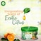 Air Wick Scented Gel Exotic Citrus Air Freshener, 70g, Pack of 2