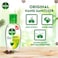 Dettol Original Hand Sanitizer Instant Hand Cleansing Gel, 50ml, Pack of 2