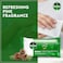 Dettol Original Antibacterial Skin Wipes, 10 Wipes, Pack of 2