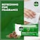 Dettol Original Antibacterial Skin Wipes, 20 Wipes, Pack of 2