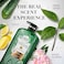 Herbal Essences Pure Aloe and Avocado Oil Shampoo, 850ml