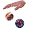 Spiderman Game Verse Yo-Yo, Classic String Toy for Skill Play